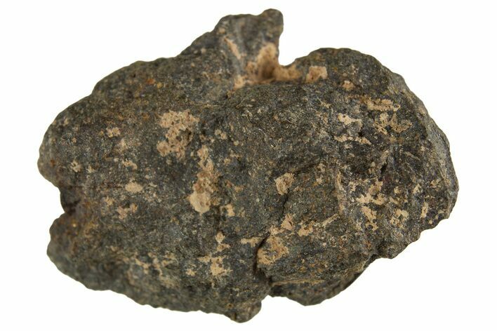 Carbonaceous Chondrite Meteorite ( g) - NWA #313718